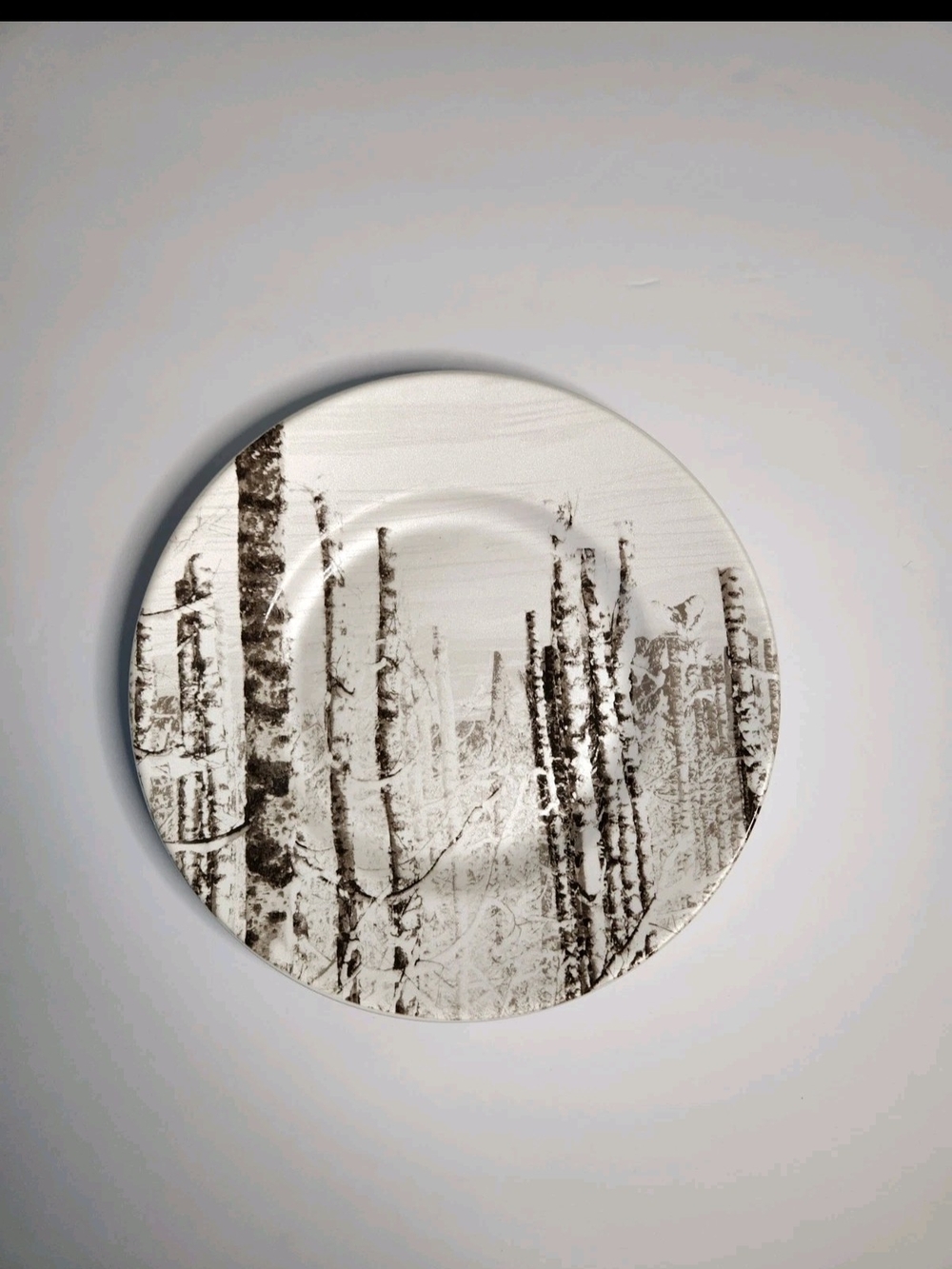 Set Of 2 Robert Stanley Birch Forest Dinner Plates - Black & White